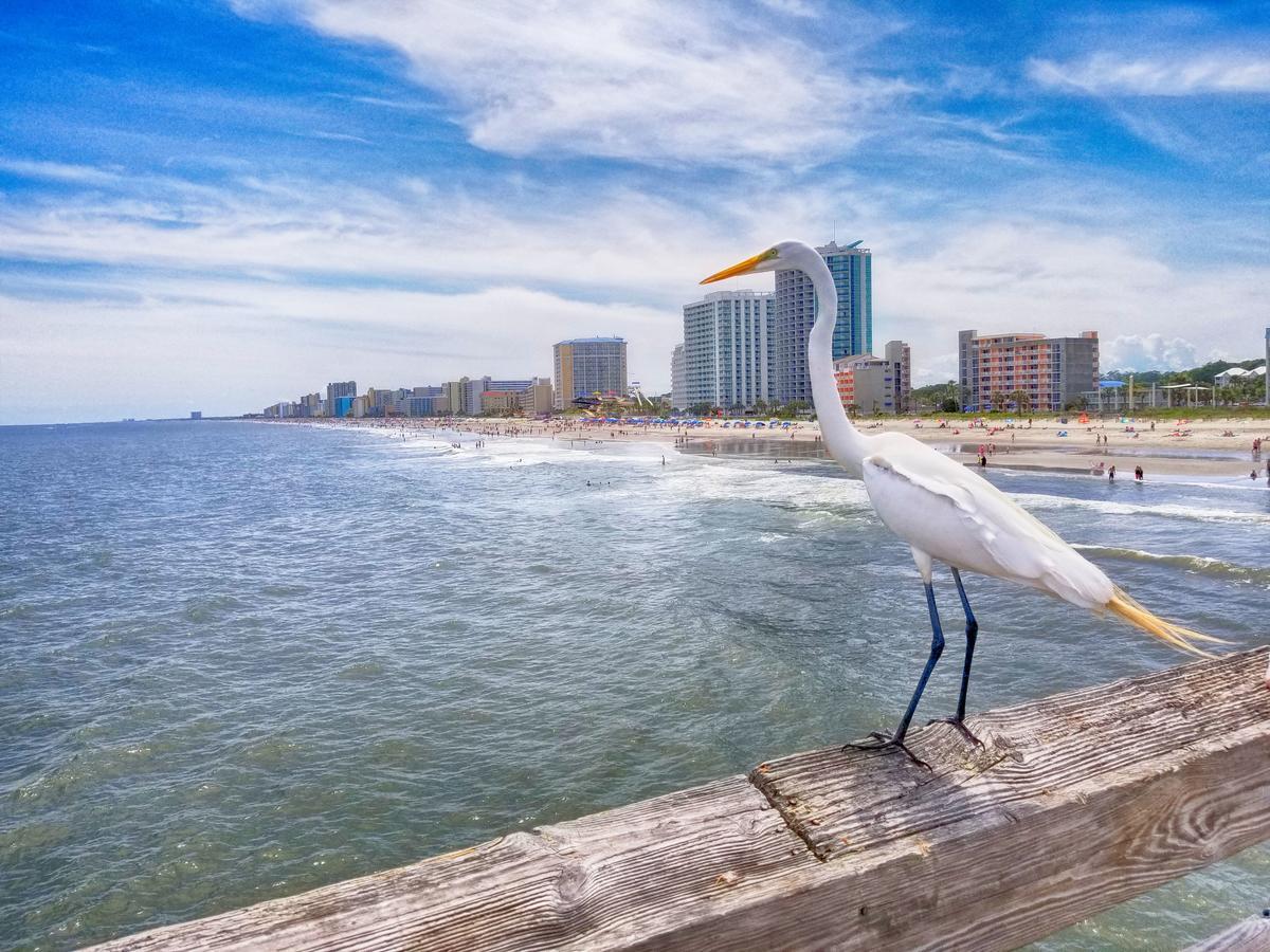 Apartmán Ocean Front 3Rd Floor 1Br Myrtle Beach Exteriér fotografie